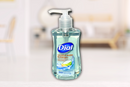 Dial Liquid Hand Soap Coconut Water & Mango 7.fl oz 12 per case